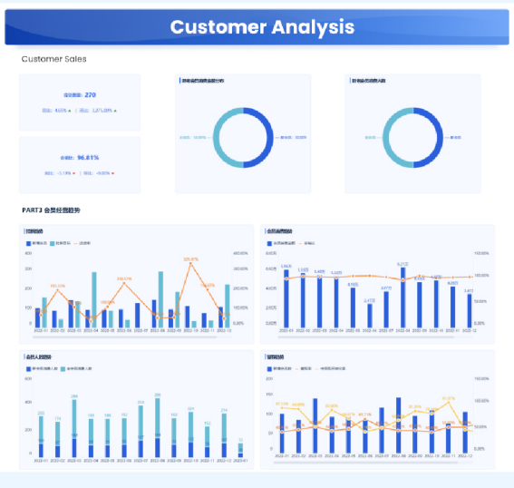 customer analysis