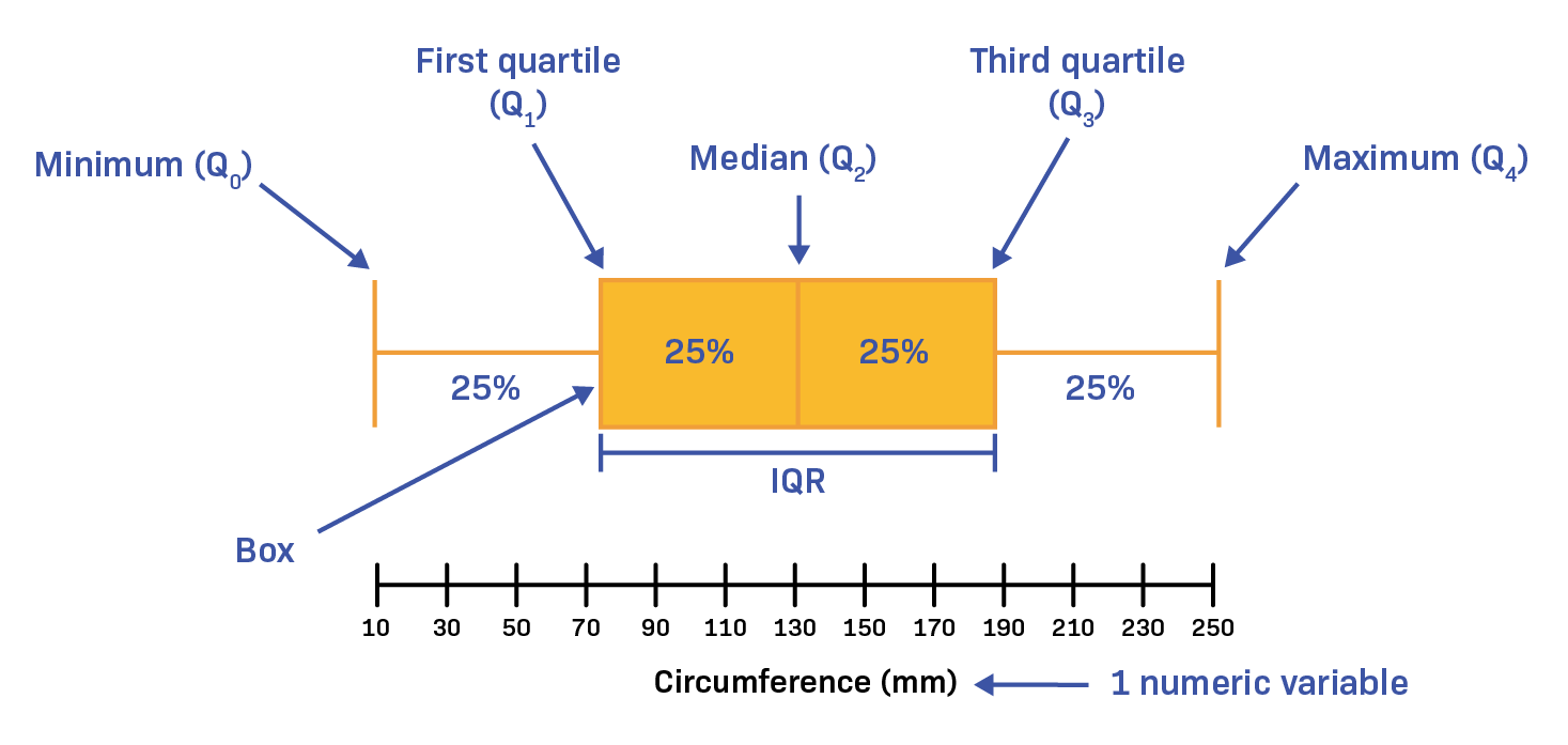 box plot