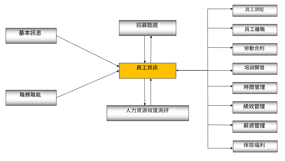 確定人力資源分析的目標