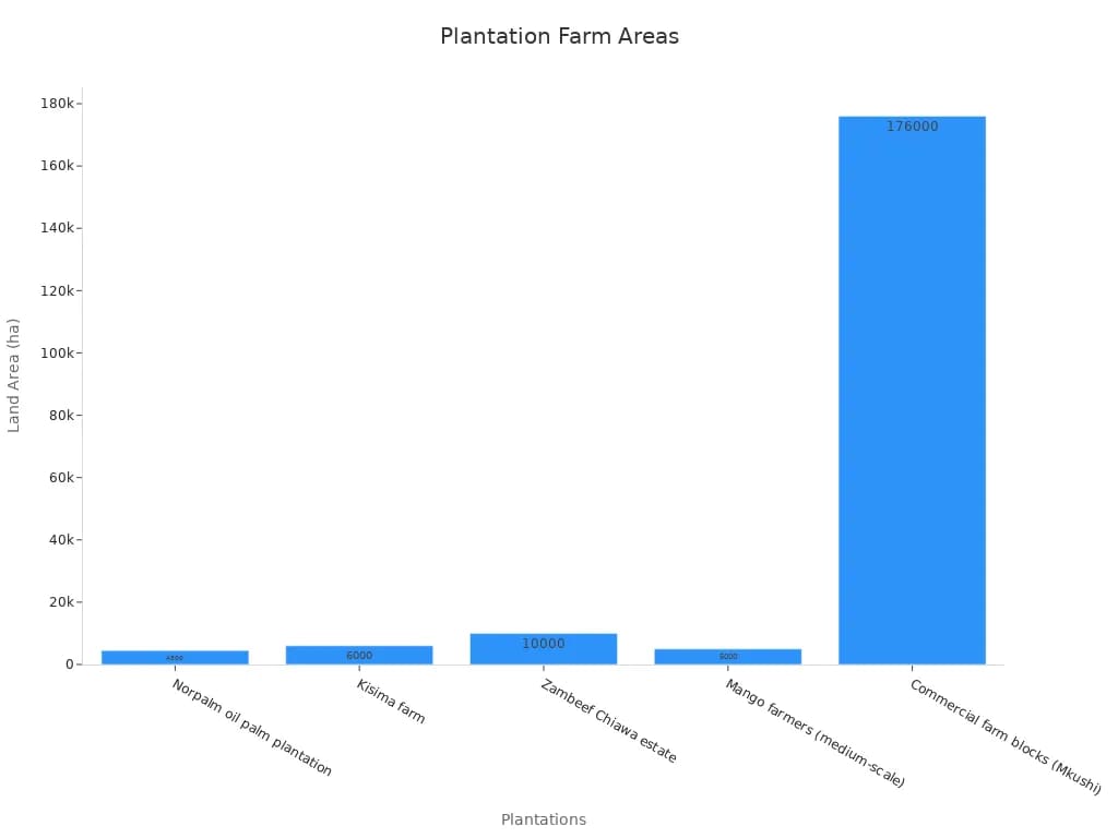 Plantation Management
