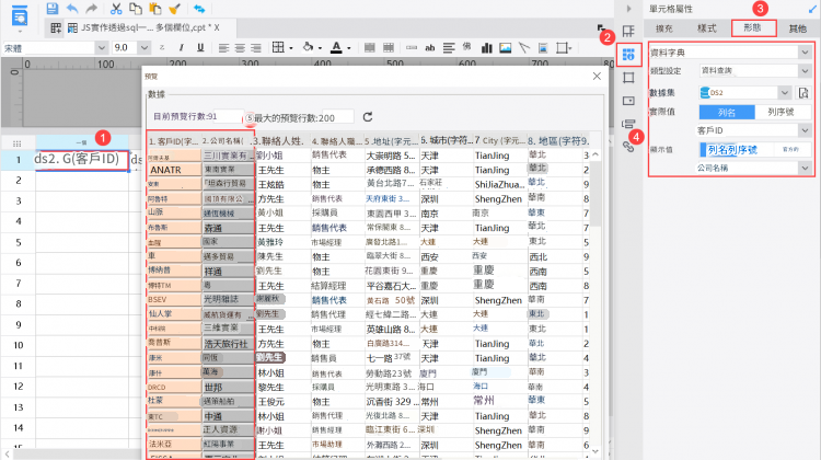 finereport資料字典
