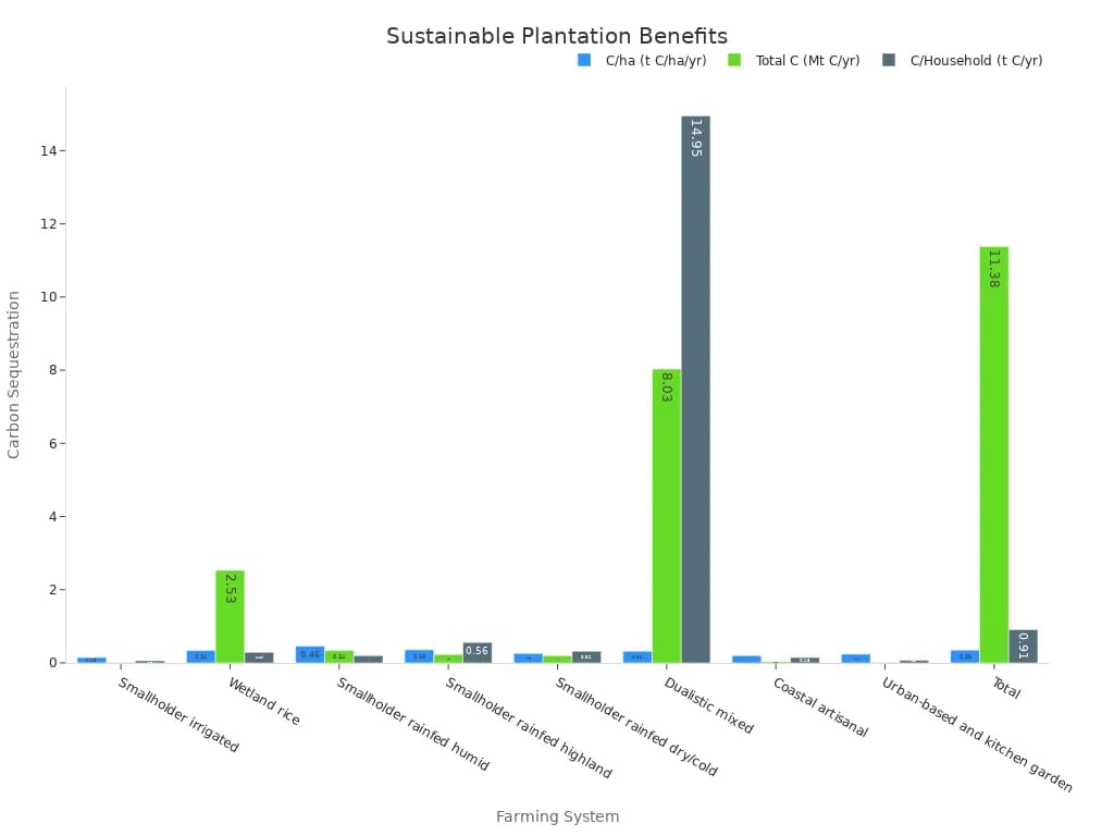 Plantation Management