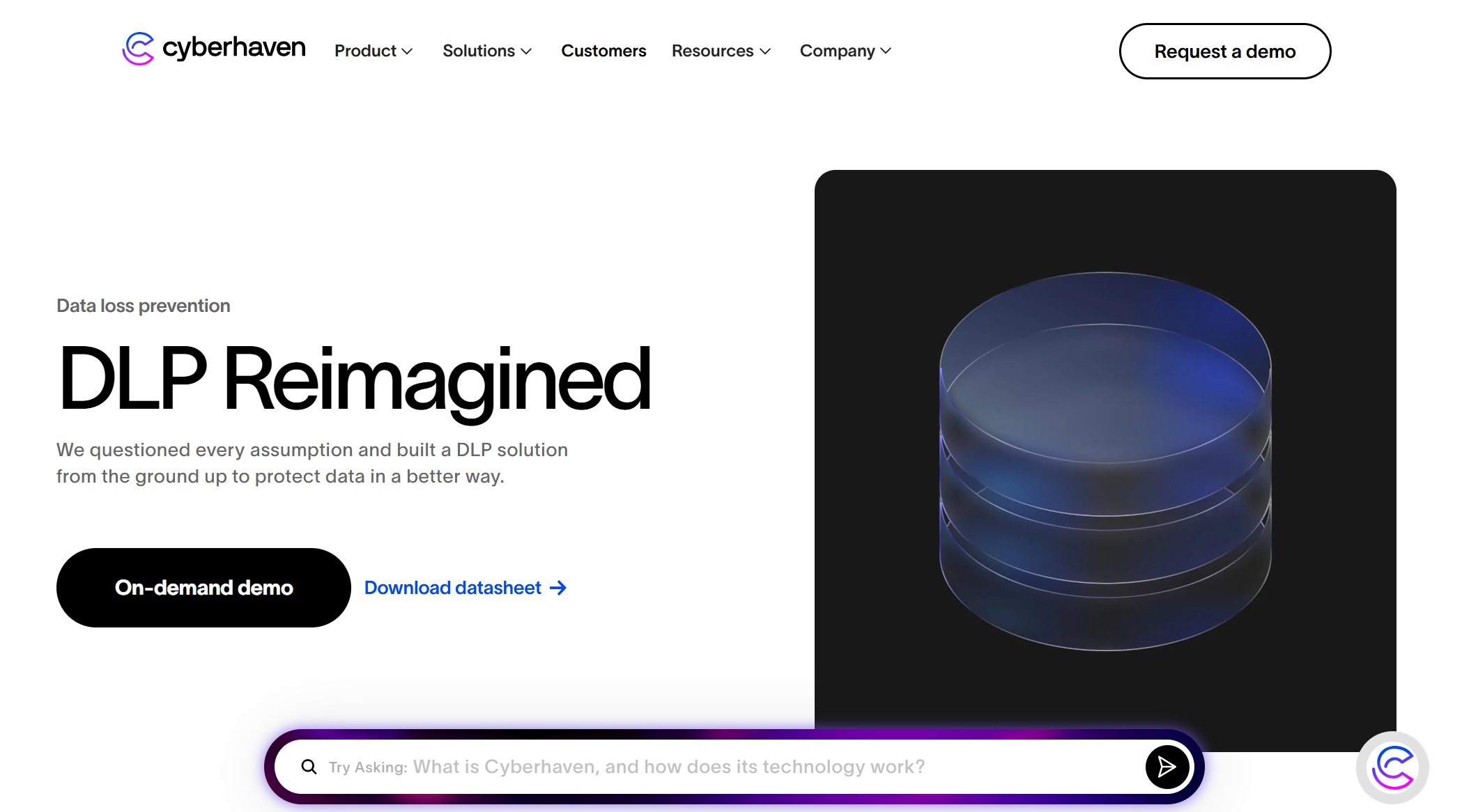 Cyberhaven Data Loss Prevention.jpg