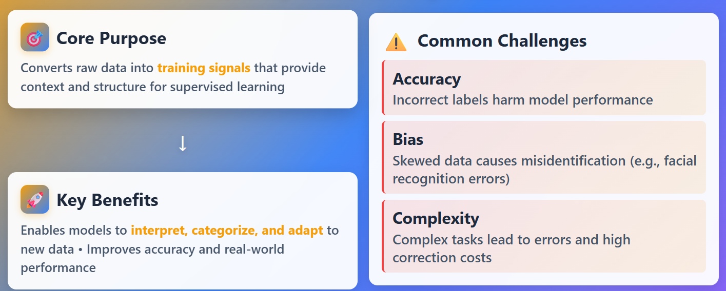 Data Annotation for AI Training.jpg