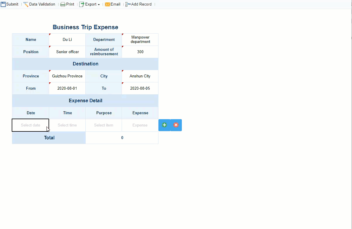 Data Entry Report.gif