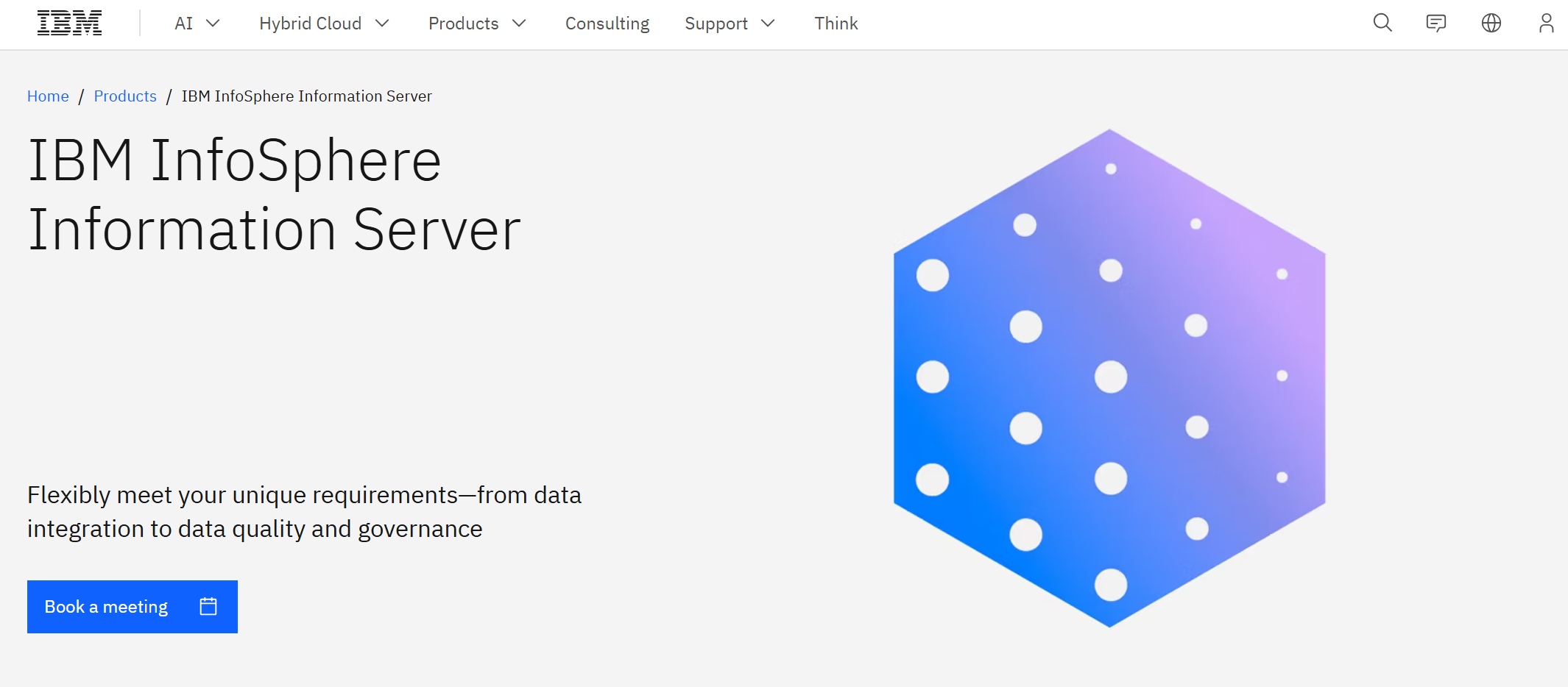 IBM InfoSphere Information Server