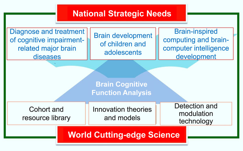 Overall-layout-of-China-brain-project.png