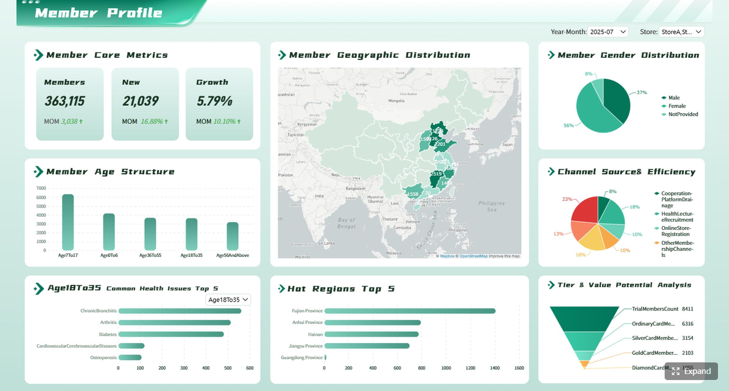 Member Analytics Dashboard