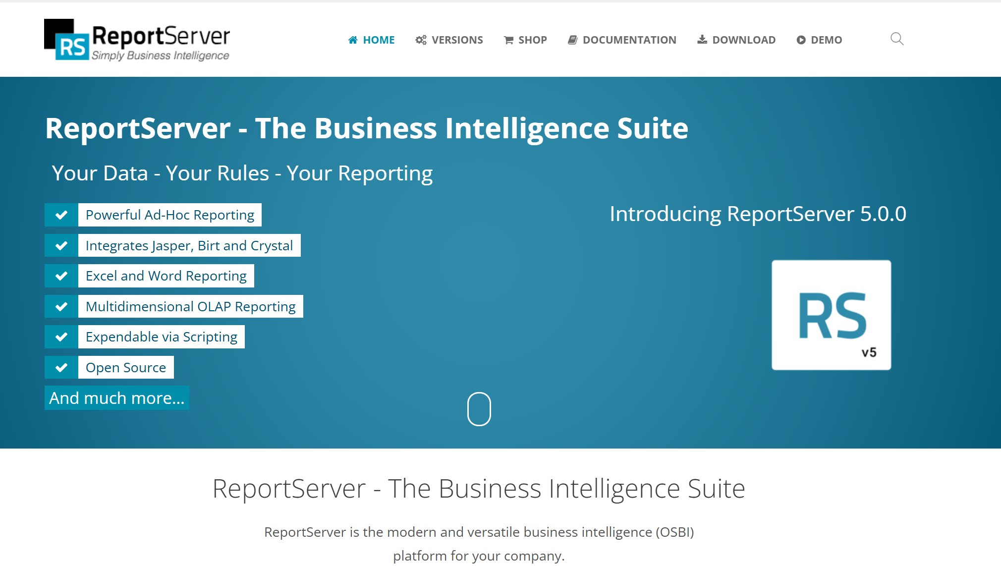 ReportServer Community.jpg