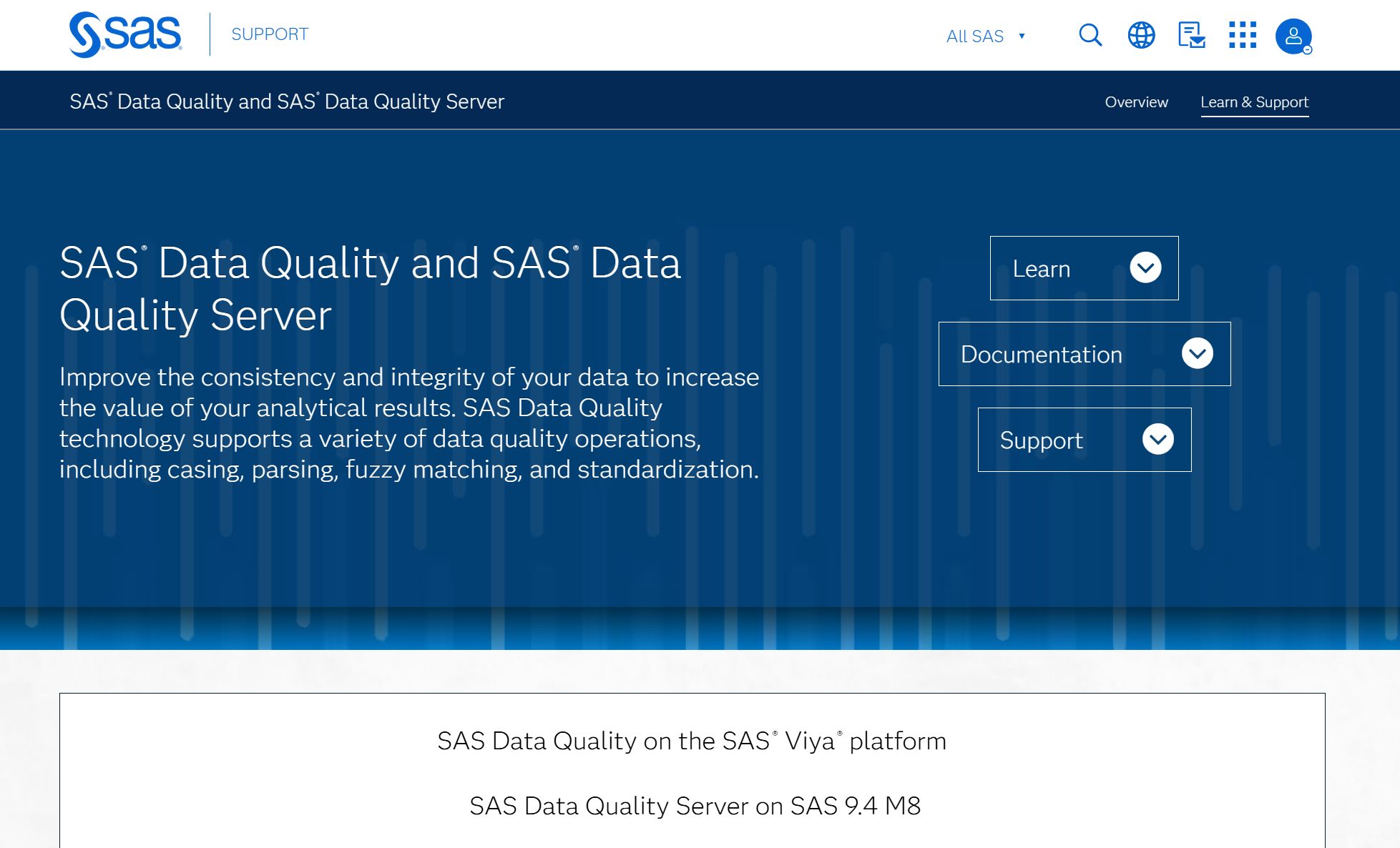 SAS Data Quality.jpg