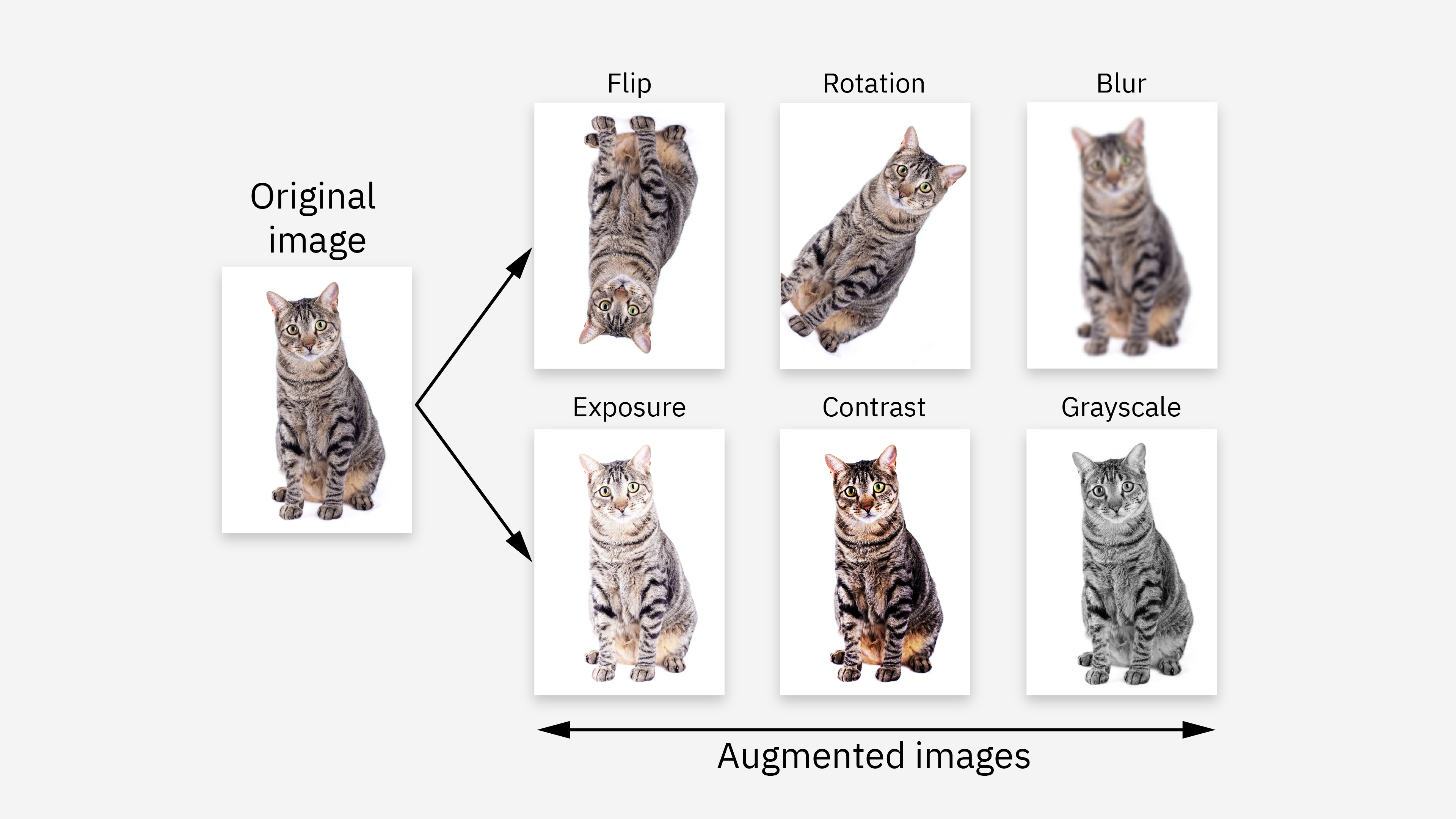 data-augmentation-image-augment.png