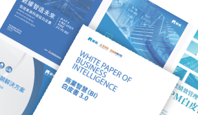 白皮書
