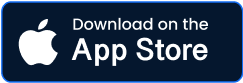 fanruan download