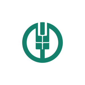 fanruan partner