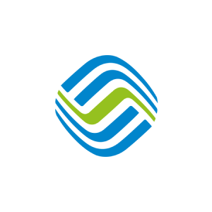 fanruan partner