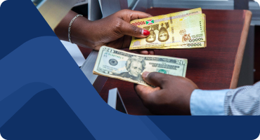fanruan financial solution