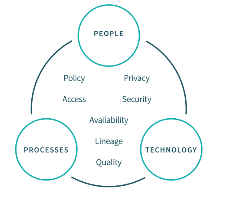 Enterprise Data Governance