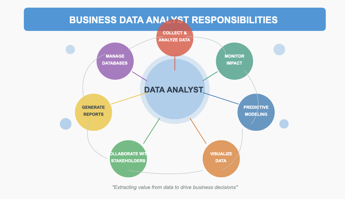 business data analyst