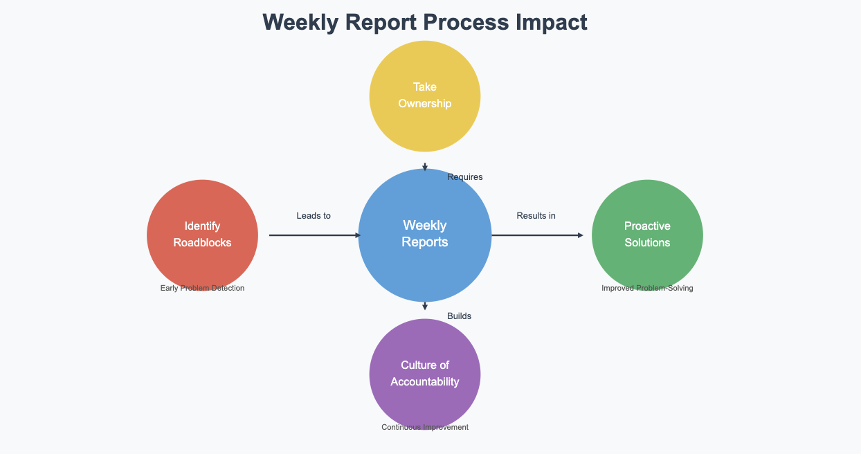 weekly report