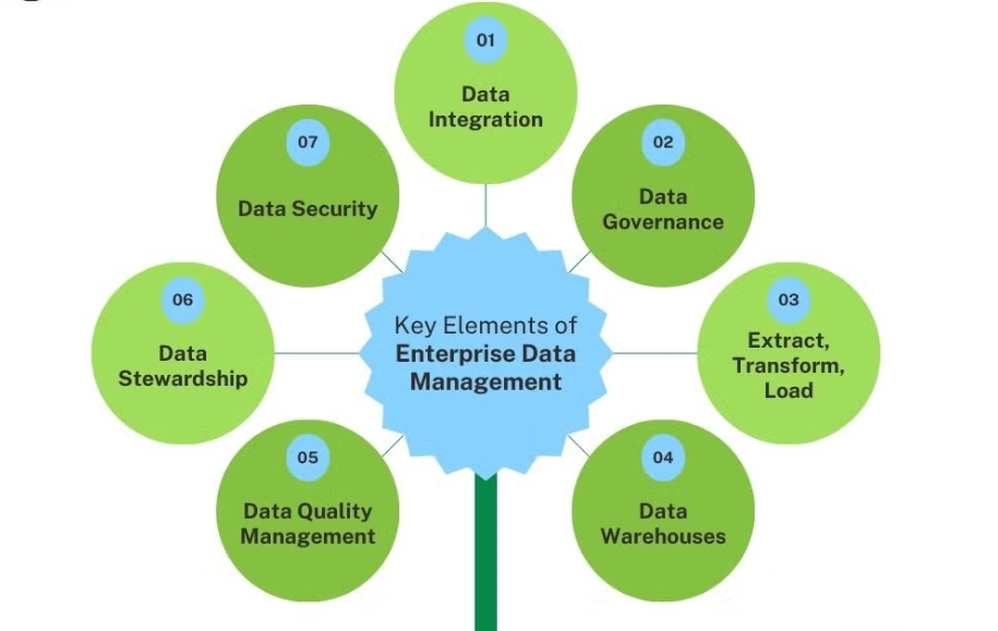 Enterprise Data Governance