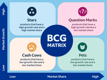 BCG Matrix Analysis (With BCG Matrix example explained)