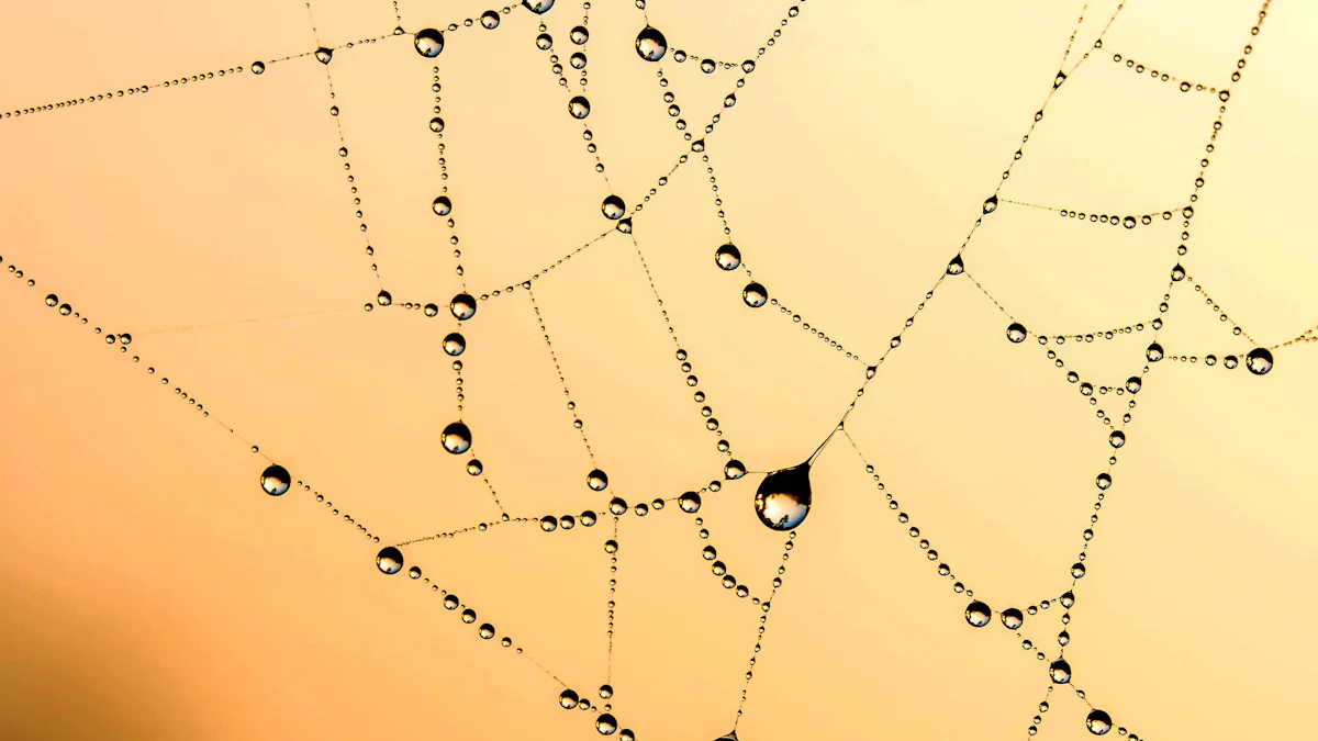 Practical Applications of a Spider Graph