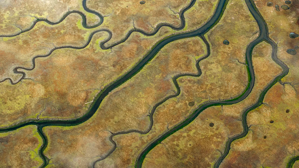 Data Landscape: Data Discovery and Mapping