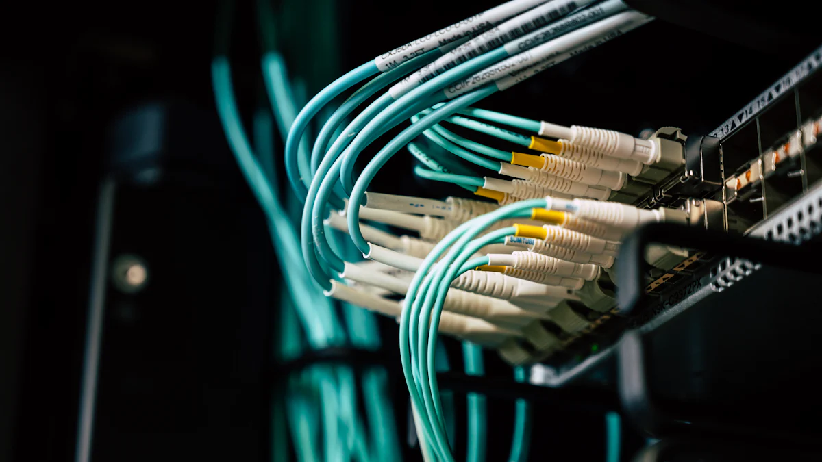 Future of Data Preservation