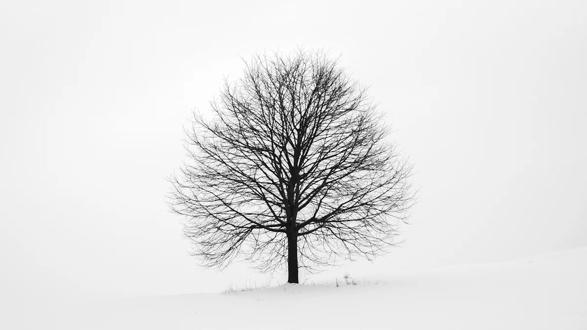 Contoh Penerapan Decision Trees