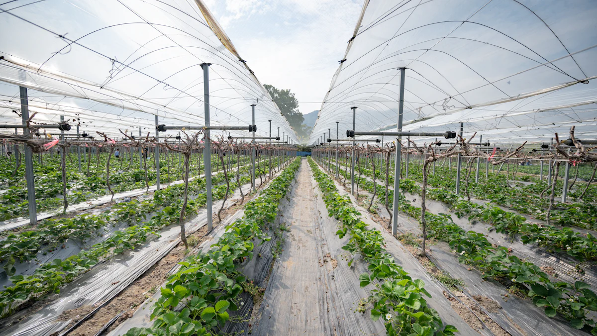 Manfaat Digital Farming untuk Petani di Era Modern